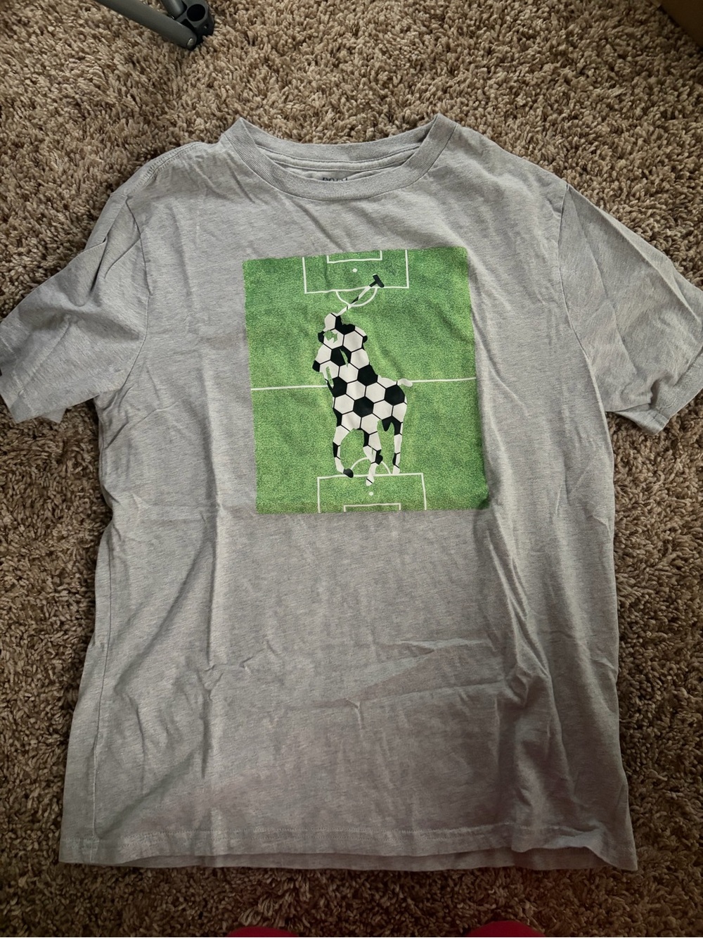 Polo by Ralph Lauren Gray T-Shirt with Green Graphic